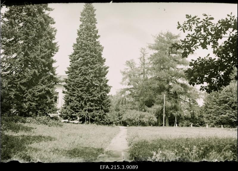 Vaade Õisu loodusele.