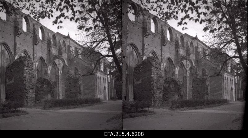 Vaade Toomkiriku varemetele.