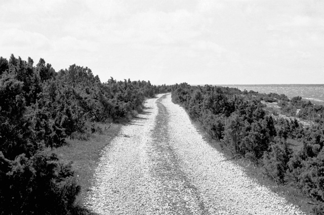 Hiiumaa maastik. Sääre tirp.