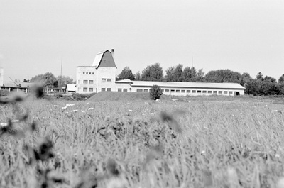 Hiiumaa. "Sõpruse" kolhoosi uus sigala.  similar photo