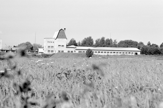 Hiiumaa. "Sõpruse" kolhoosi uus sigala.