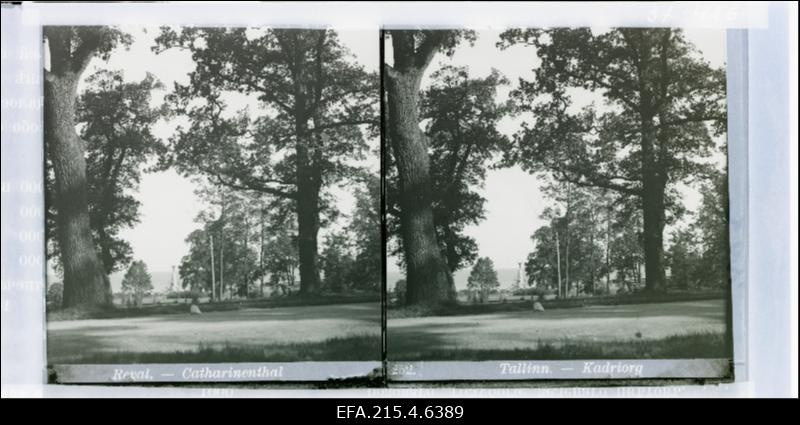 Vaade Kadrioru parki.