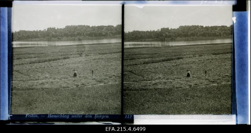 Vaade Viljandi järvele.