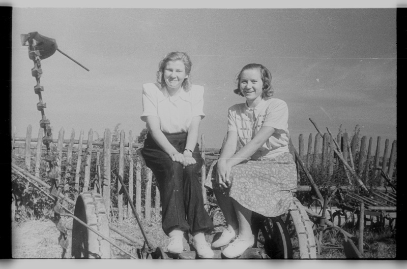 Naised heinaniitmismasinal, hobuniidukil istumas