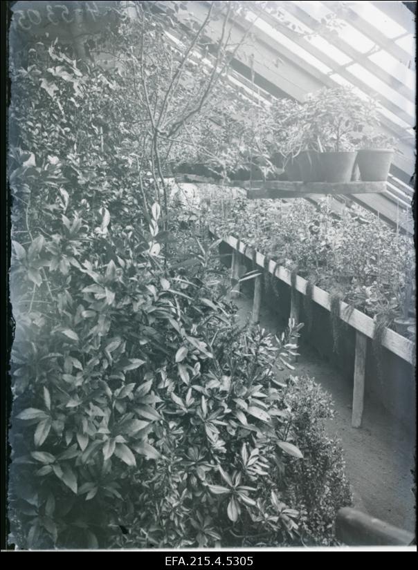 Johan Vihwelini aiaäri Viljandis Posti tänaval.