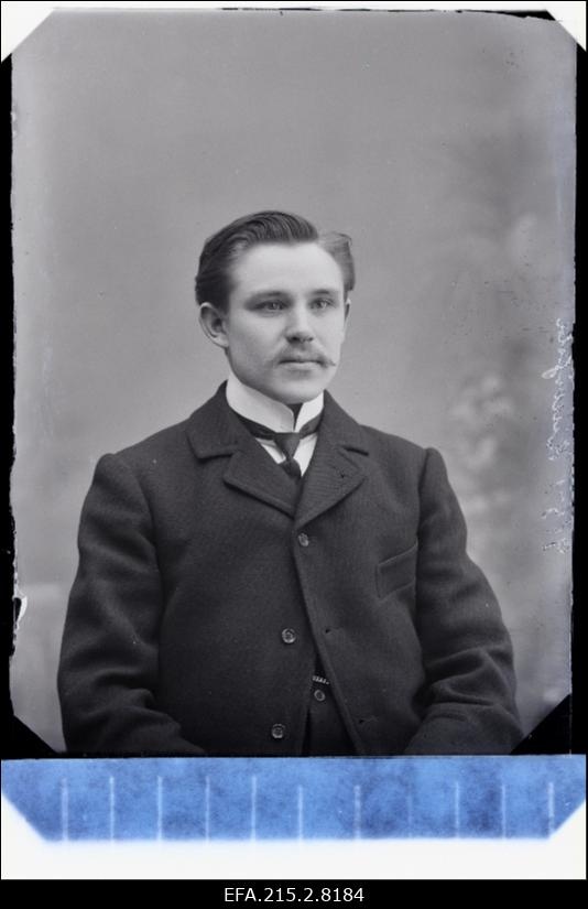 Kiwisild (Kivisild).