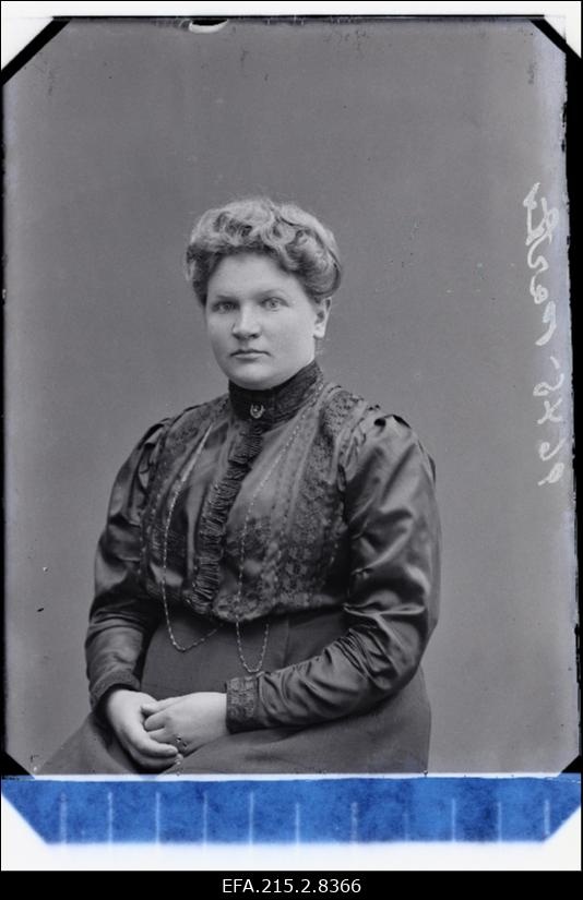 Parts Aidu mõisast.