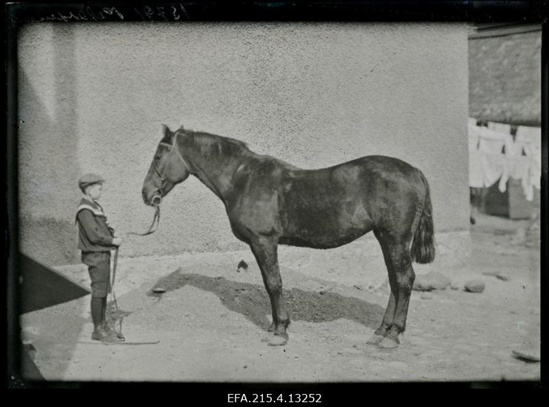 Poiss hobusega, (foto tellija Petersen [Peterson]).