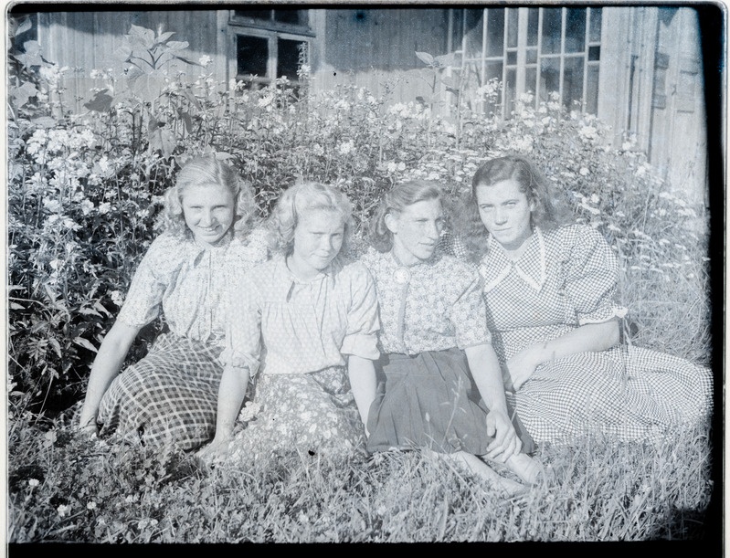 Neiud Tõlluste kandis
