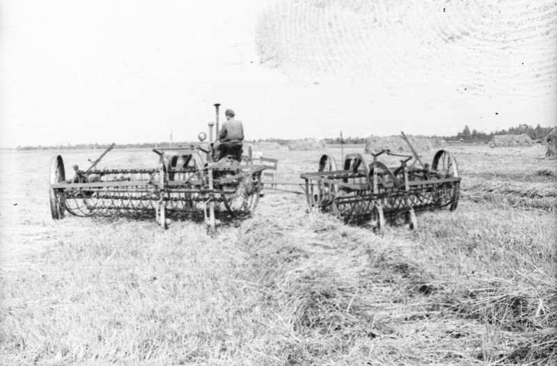 Heina koristamine Stalini kolhoosis 1956