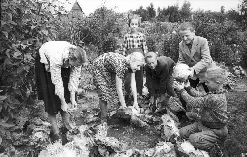 Võõpsu kooli naturalistid