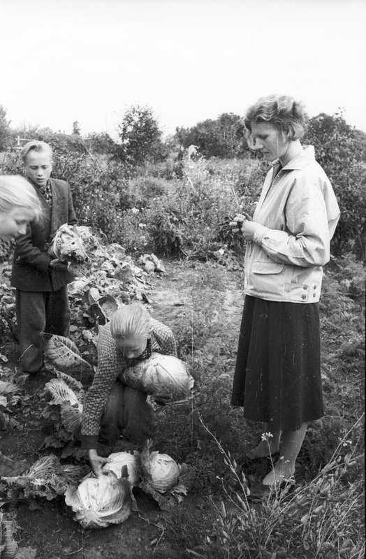 Võõpsu kooli naturalistid