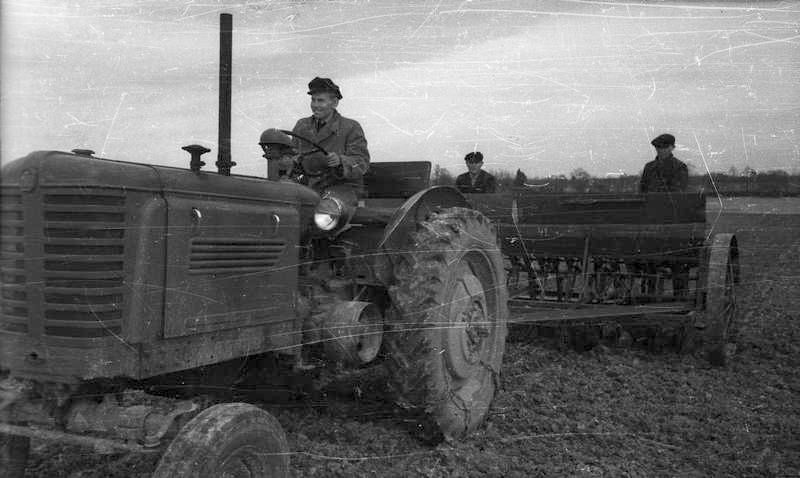 Kaera külv Kingissepa kolhoosis