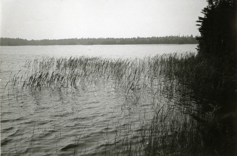 Sarapiku järv