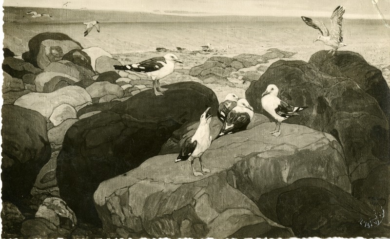 Fotokoopia maalist Kajakad rannal