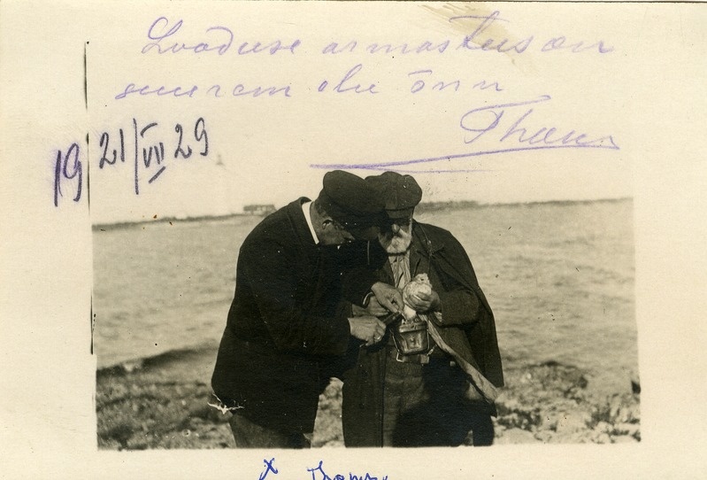 Artur Toom linde rõngastamas
