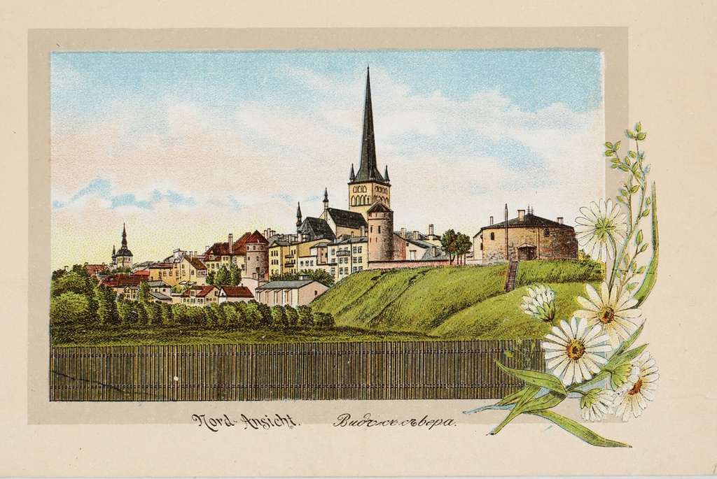 [Tallinn. Vaade põhjast.] Nord Ansicht.