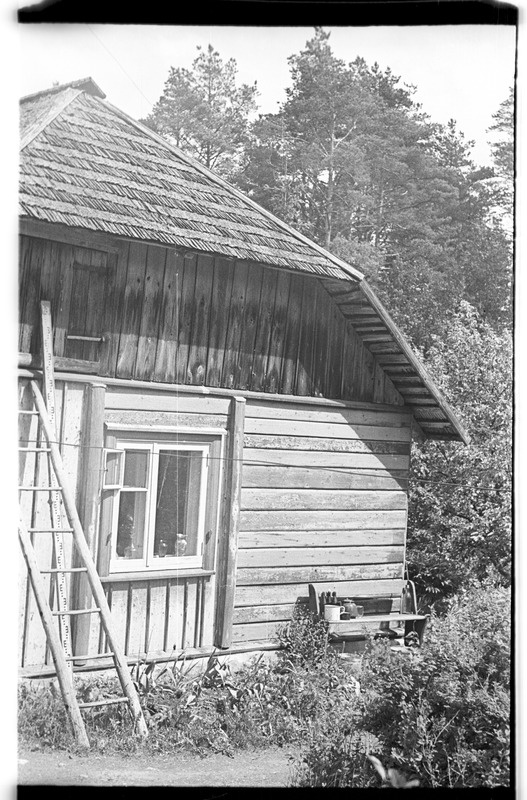 Elamu, Võhma (Lahemaa), Tammiku talu