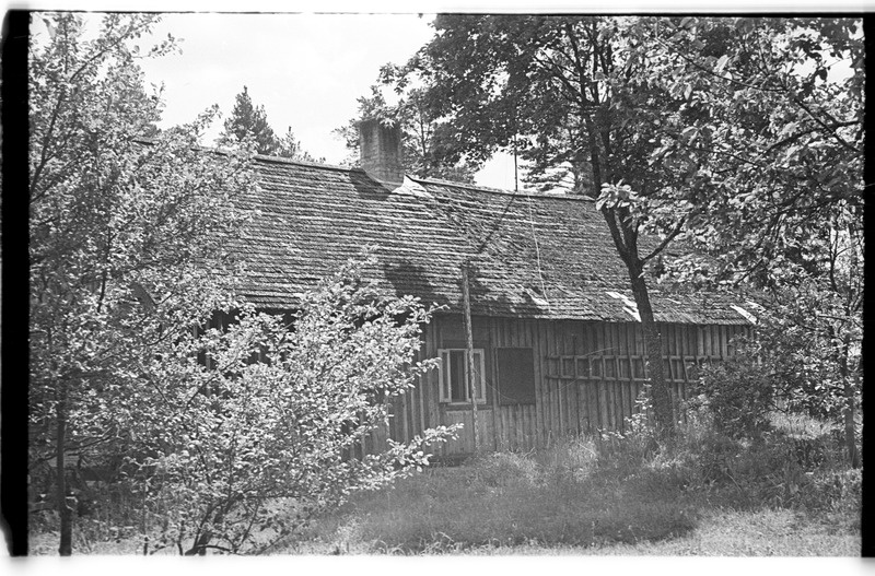Elamu, Võhma (Lahemaa), Tammiku talu