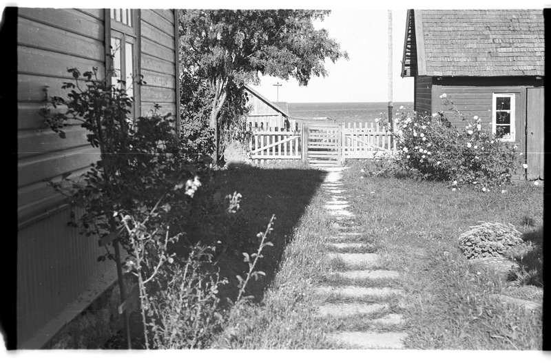 Õu ja värav, Viinistu, Lassipeetri talu