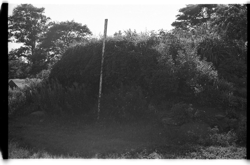 Kelder, Viinistu, Lassipeetri talu