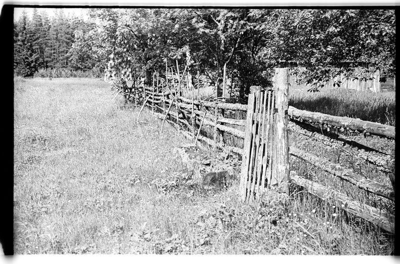 Piirdeaed ja joogiküna, Võhma (Lahemaa), Ale talu