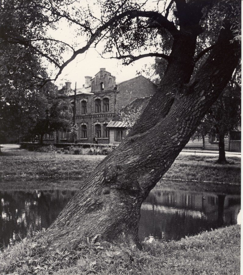 Vaade "Säde" pargist Pioneeri tänavale