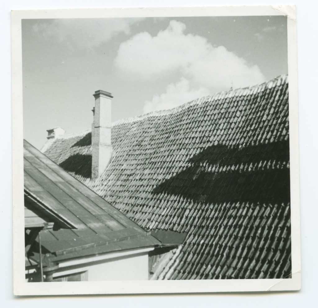 Tallinn, Pakkmaja katus.