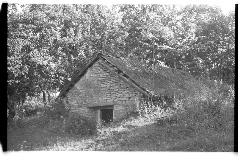 Kelder, Võhma (Lahemaa), Mäealuse talu