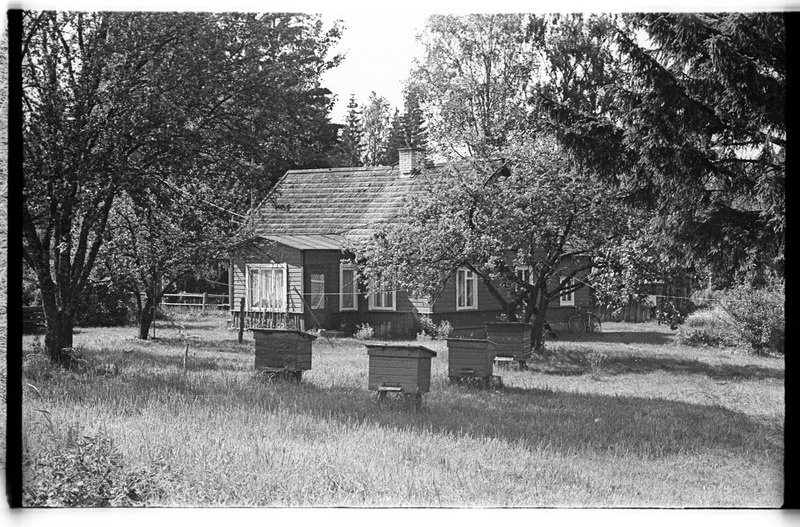 Elamu ja mesitarud aias, Tõugu (Lahemaa), Oja talu