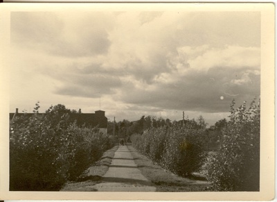 foto, allee Türi rahvamaja juurde  1940-ndatel a.  duplicate photo