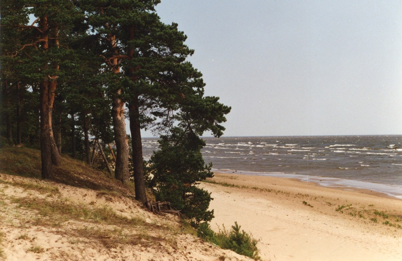 Peipsi järv ja rand