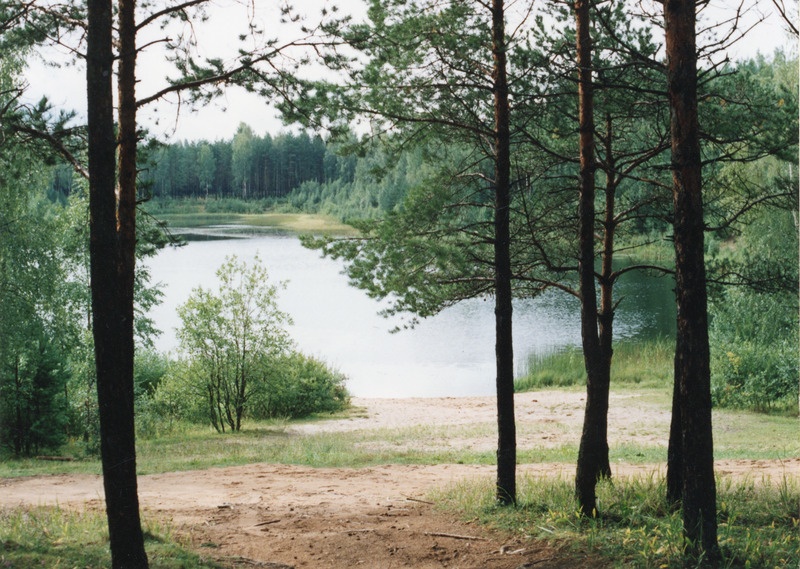 Kurtna järv