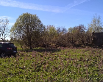 foto, ratastraktor ajab kartulivagusid Pärdi talu põllul 1963.a. rephoto