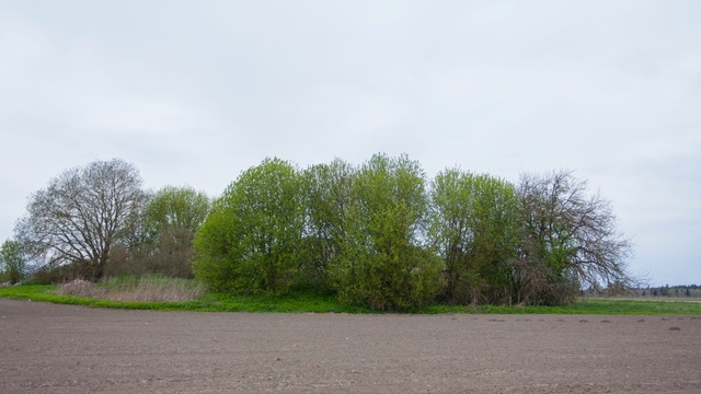  rephoto