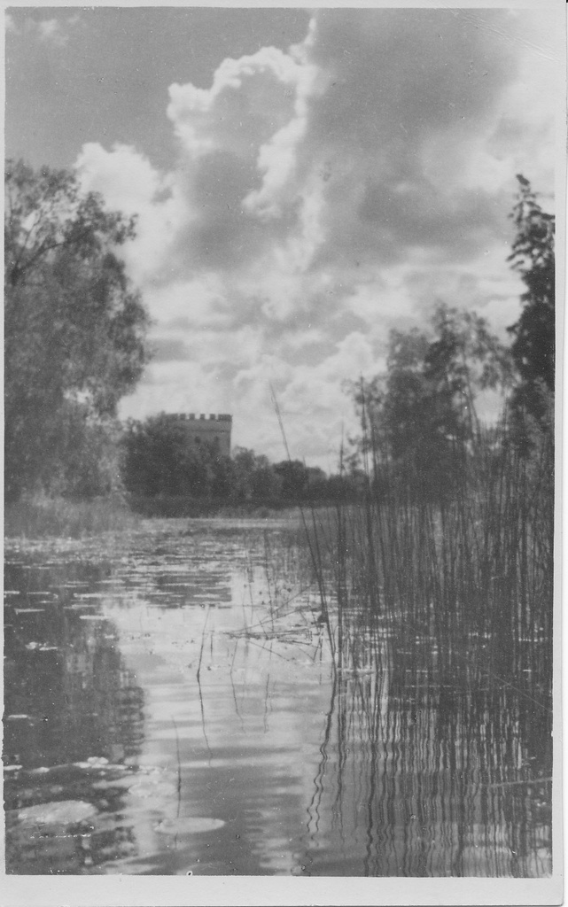 Koluvere loss
