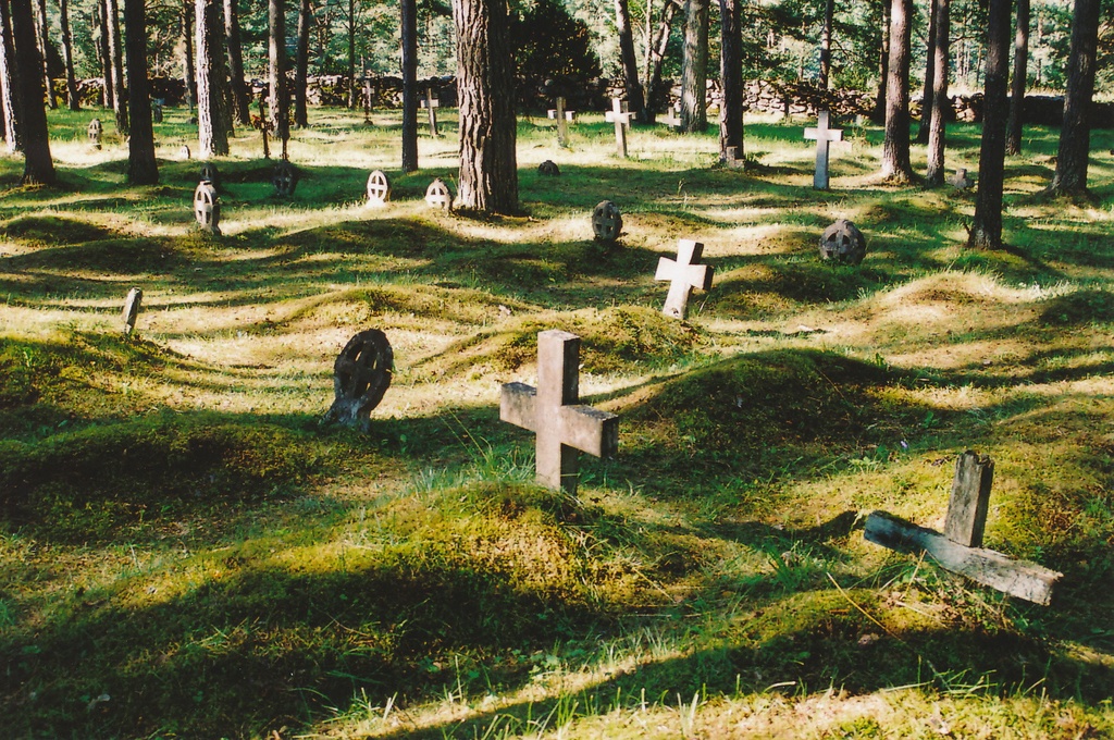 Rõngasristid Vormsi kalmistul. 30. juuli. 2002.