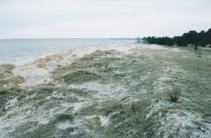 Ruhnu vaated, talv 2002.a.