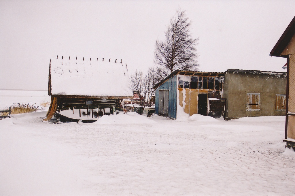Bastabacka ja paadikuur tuisus. 2003.