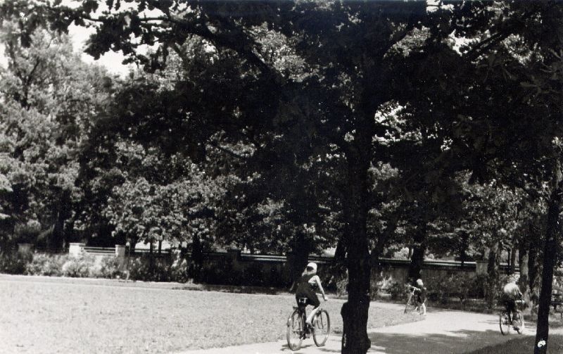Väikelaste park Tallinnas. Aleksander Niine