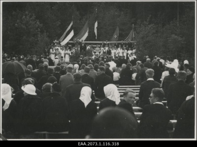 Laulupidu Palamusel  similar photo