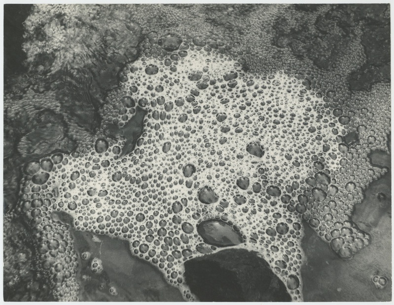 Kunstiline foto "Mullid"