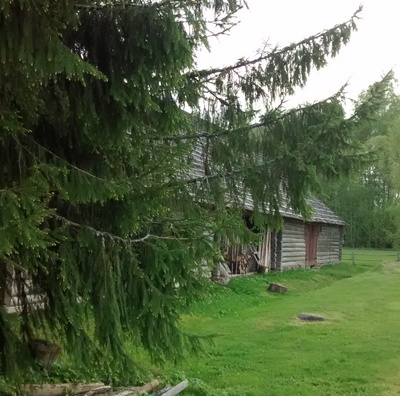 Oja farm where Juhan and Jakob Liiv lived (MKA photo collection) rephoto