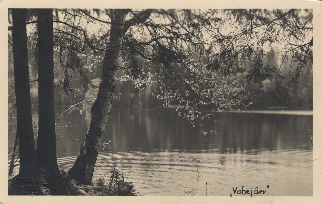 Lake Vahejärv