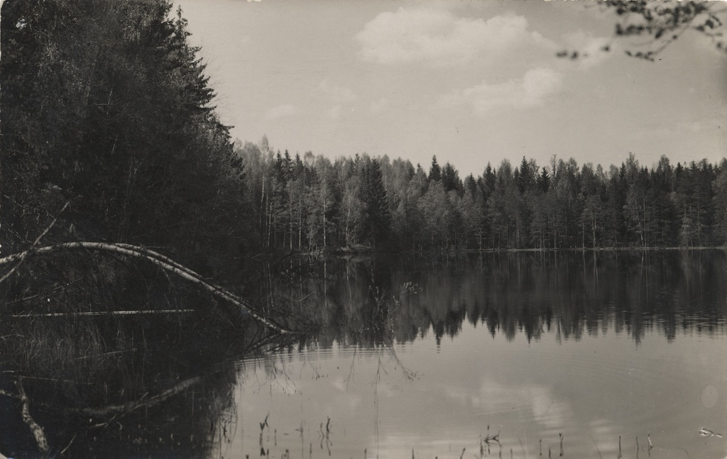 Lake Burgatsi near the Aegviidu