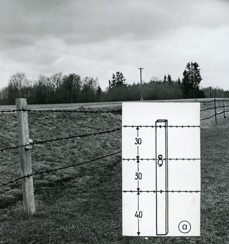 Pärnu rajooni "Edasi" kolhoosi kolmetraadiline koplitara