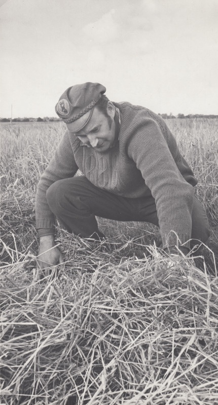 Aruküla kolhoosi peaagronoom Rein Koch kontrollib, kas põhku on jäänud palju teri