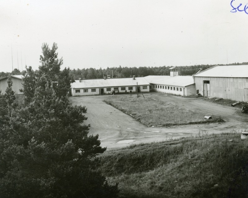 Nõva kolhoosi piimafarm