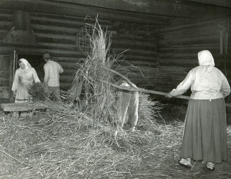 Saside tõstmine puuhanguga