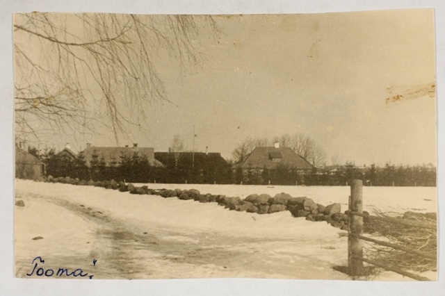 Tooma talu üldvaade